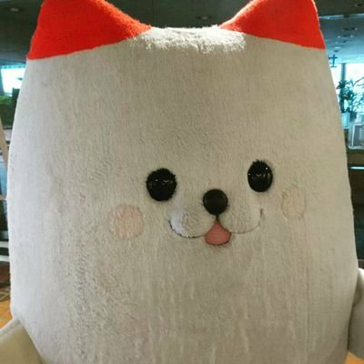 タカ