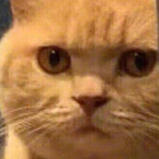 小熊熊熊熊熊熊熊熊熊