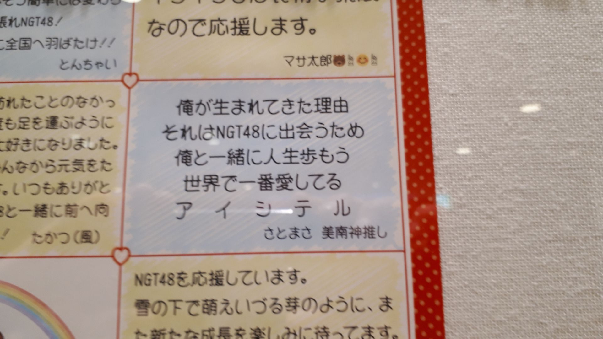 投稿画像