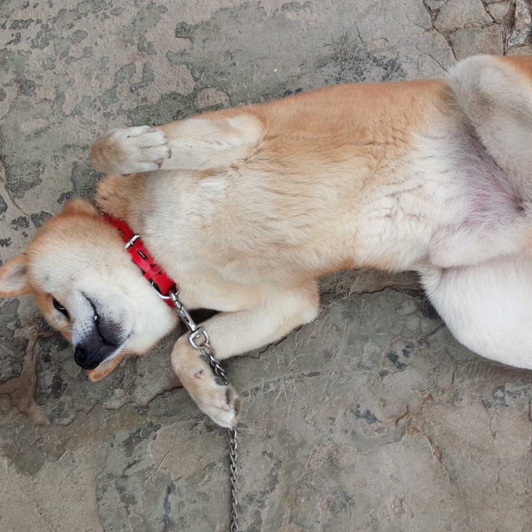 まさかずのトーク