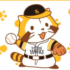 波風龍馬のトーク
