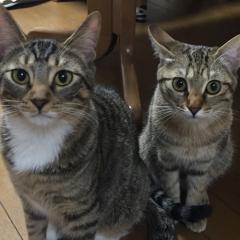 りょう