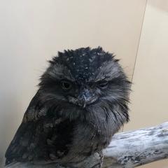 ゆう♂