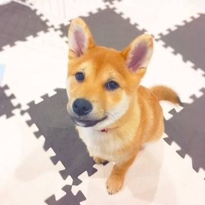 そらのトーク