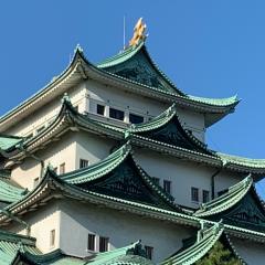 としのり(toshinori)