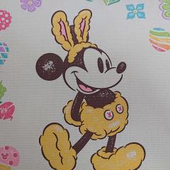 きっすぃー