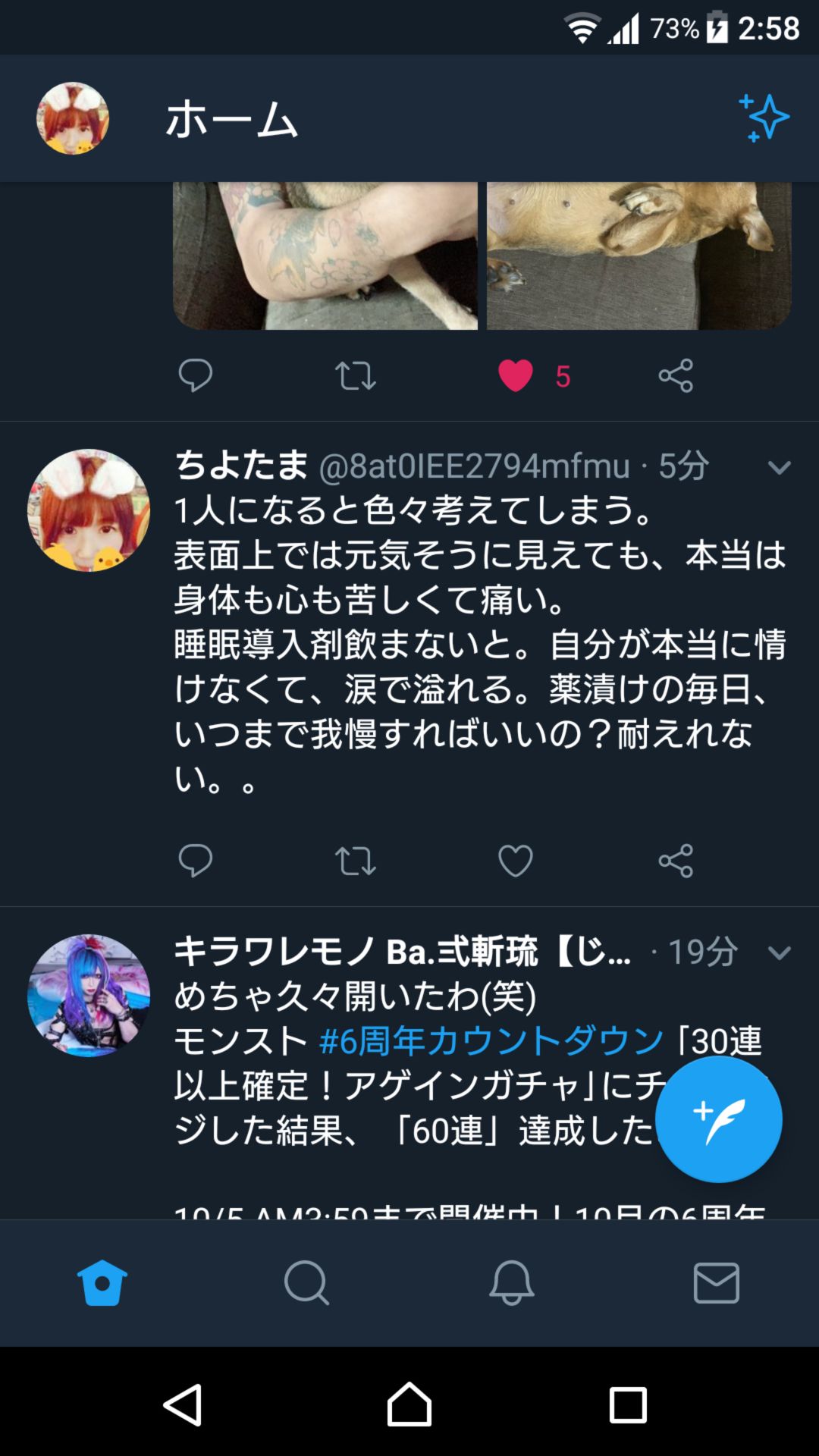 投稿画像
