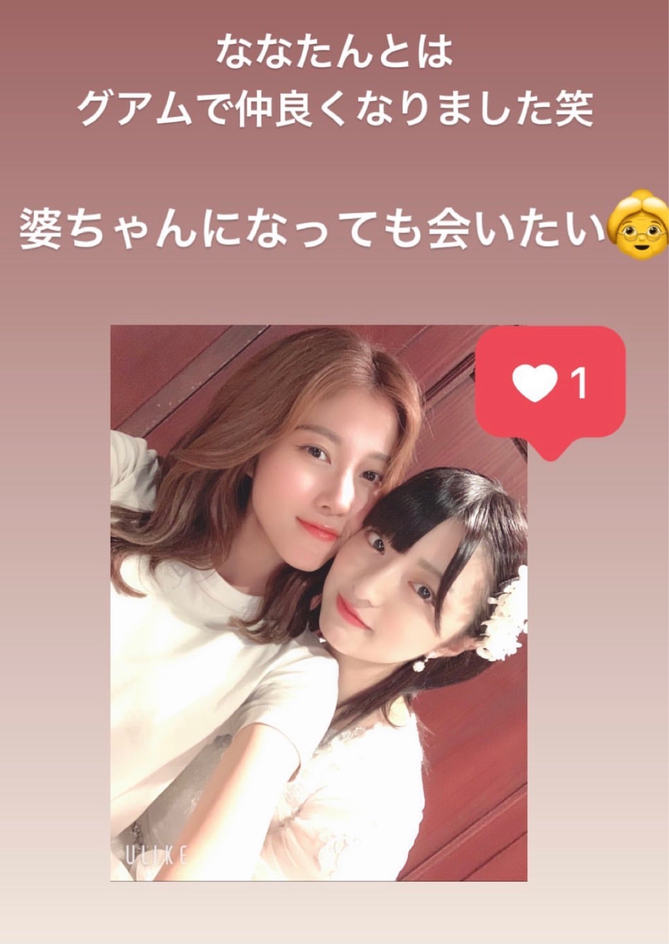 投稿画像