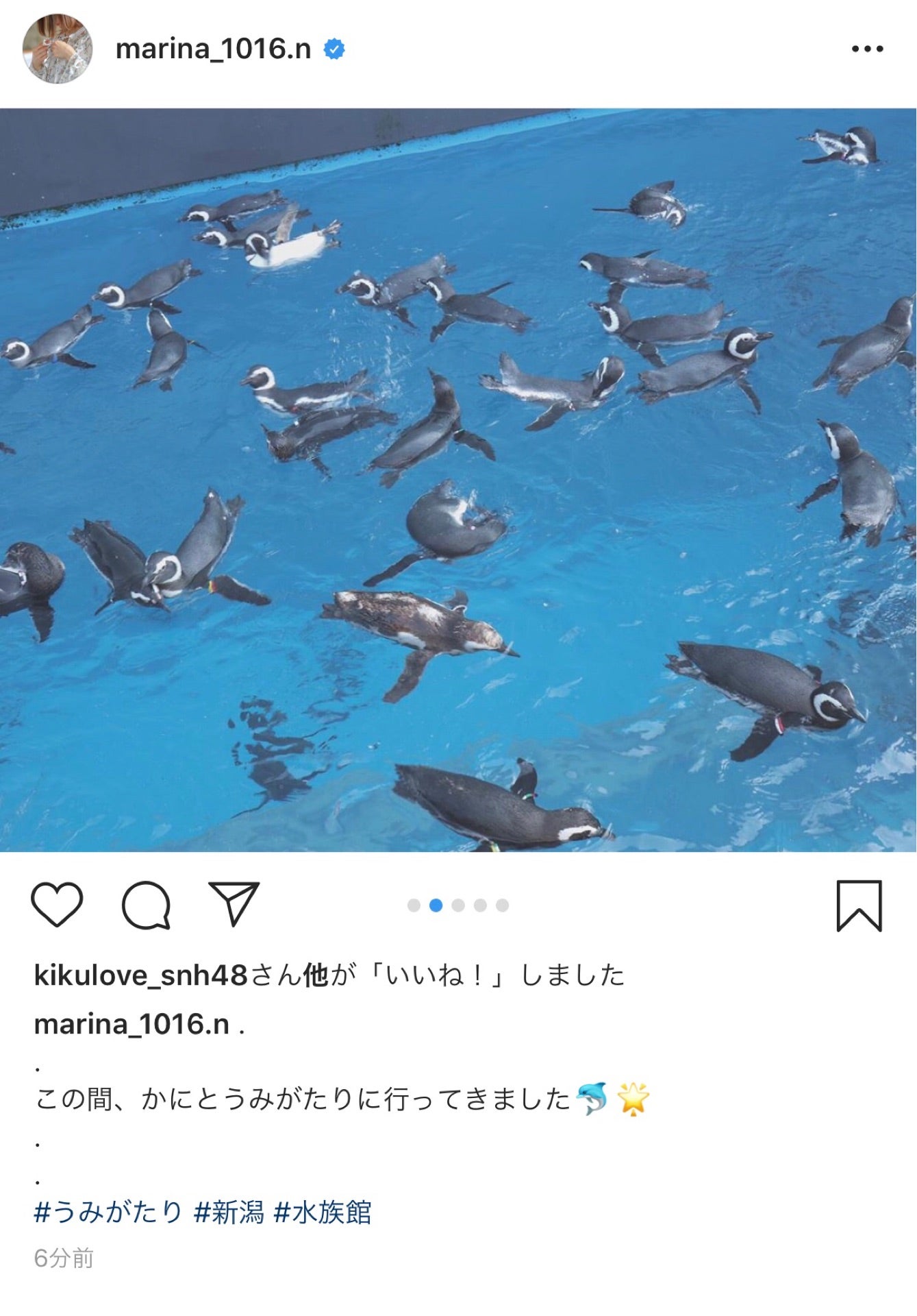 投稿画像