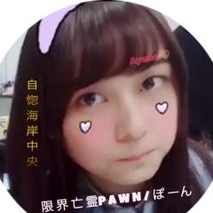 限界亡霊 P A W N / ぽ ー ん