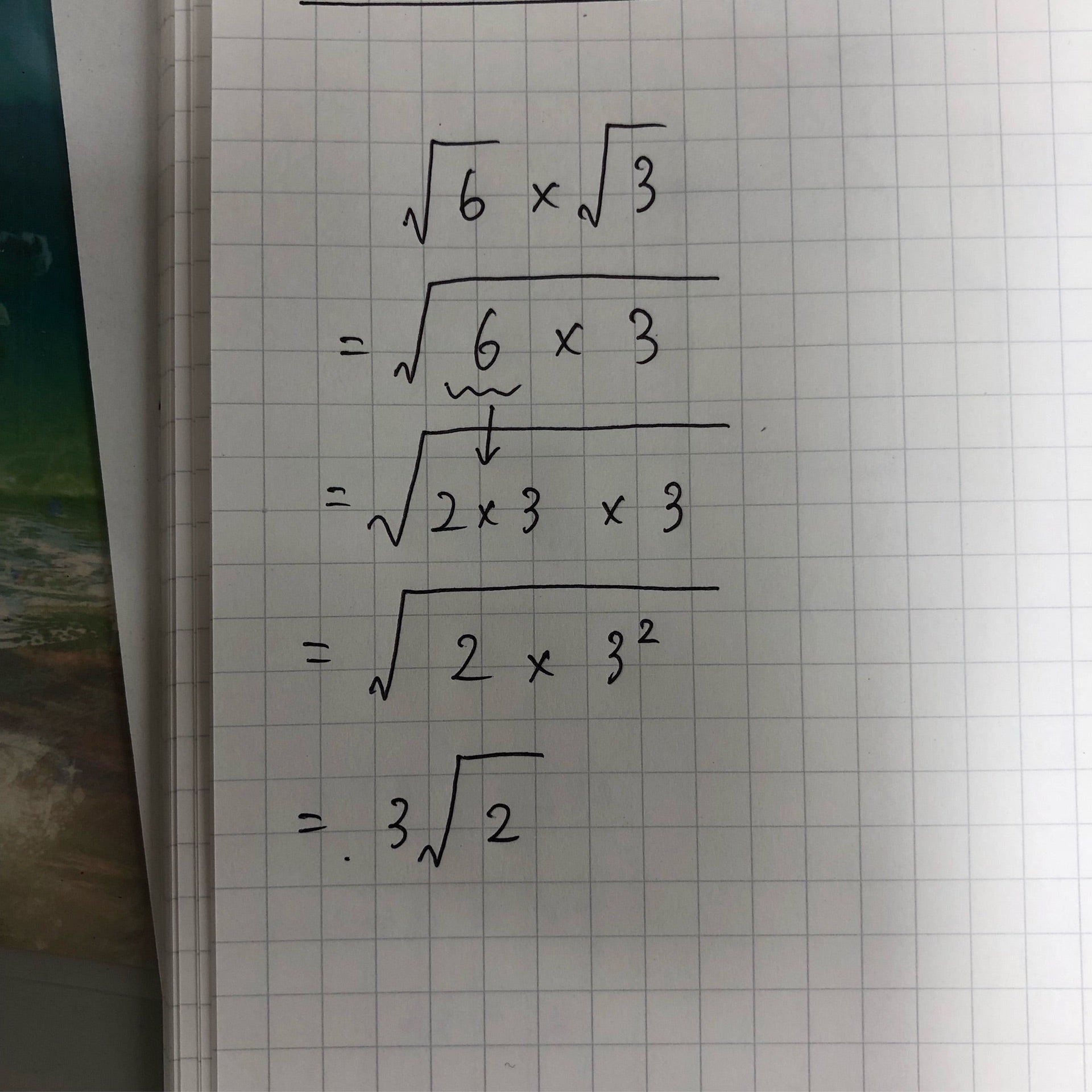 投稿画像