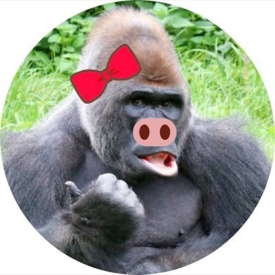 よこ🦍