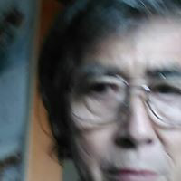 稲苗代豊