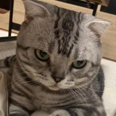 ひろっち