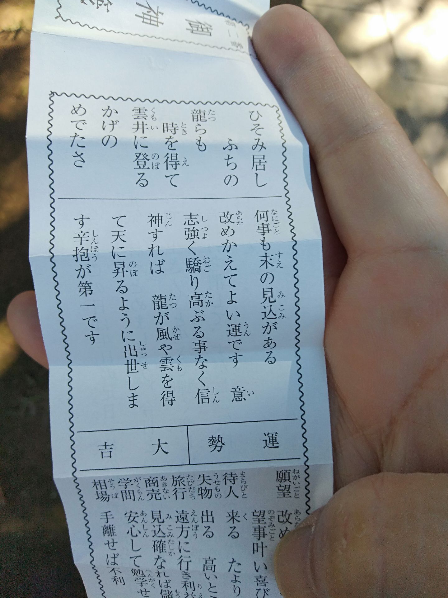 投稿画像