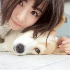 もんちっち