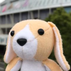 山ダコ🐙