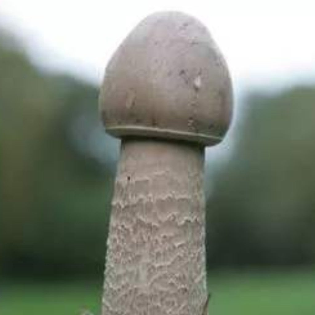 はなちゃんに即通報された