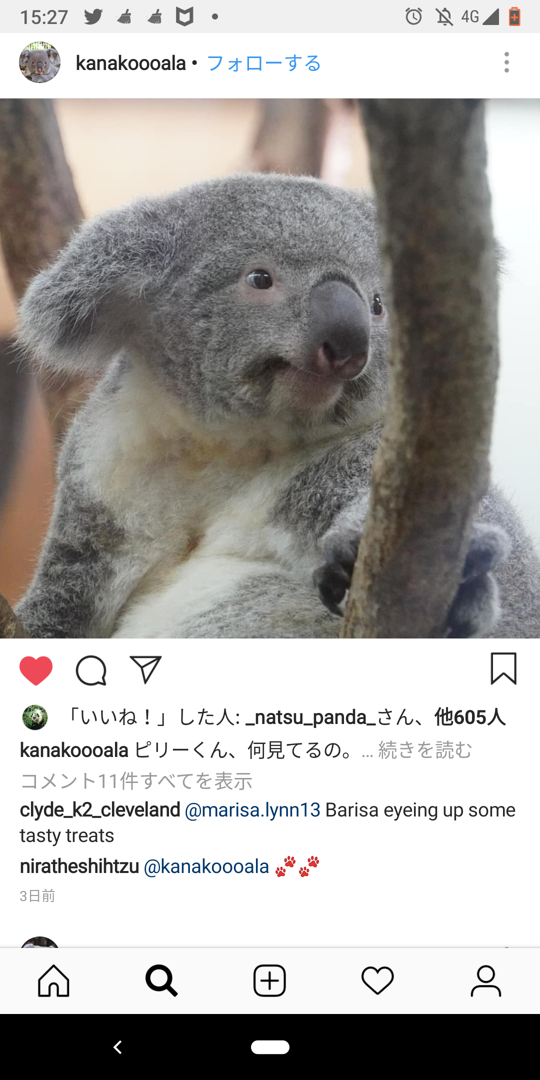 投稿画像