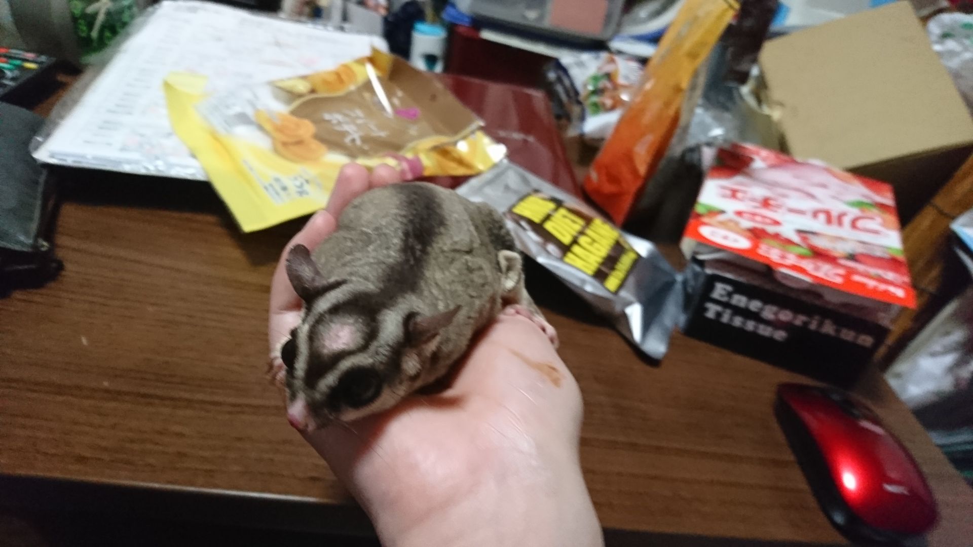 投稿画像
