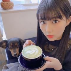 みくちゃんからの引用をここに保存しよう