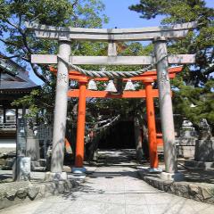 中年 ジェット