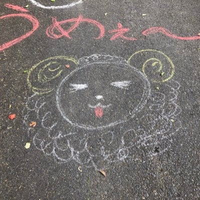 こうたのトーク