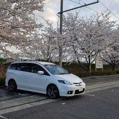 はなしげ