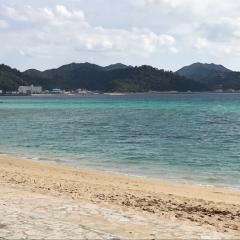 めいせい