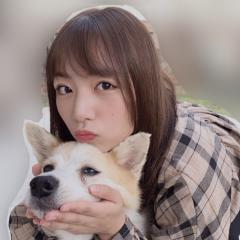 遥