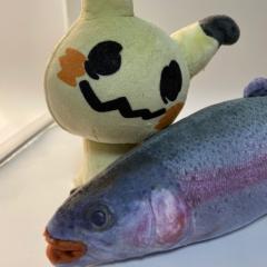 まいご