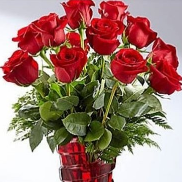 Allen31155のトーク