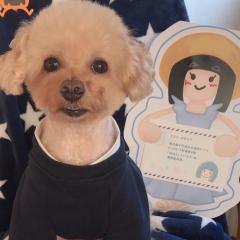 りえつんのトーク