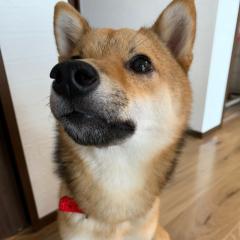 いき@初めまして🔰