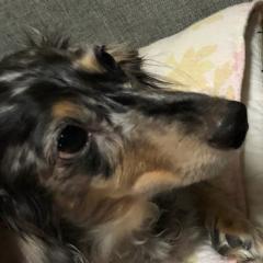 とーくたいとる