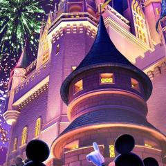 ディズニー大好き