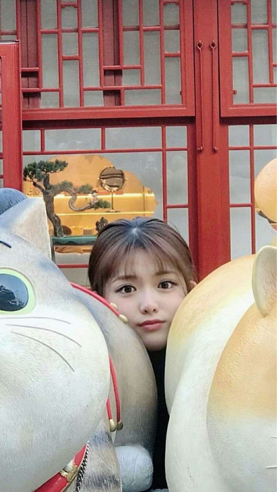 ๆ็จฟ็ปๅ