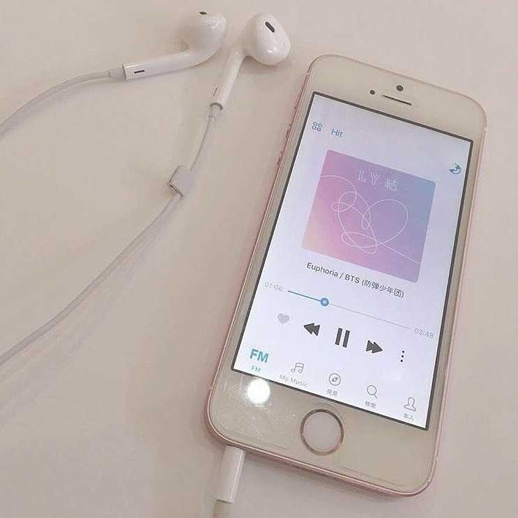 ㅤㅤㅤㅤ‪⸜‪‪‪‪‪︎❤︎‪︎⸝‬‪‪