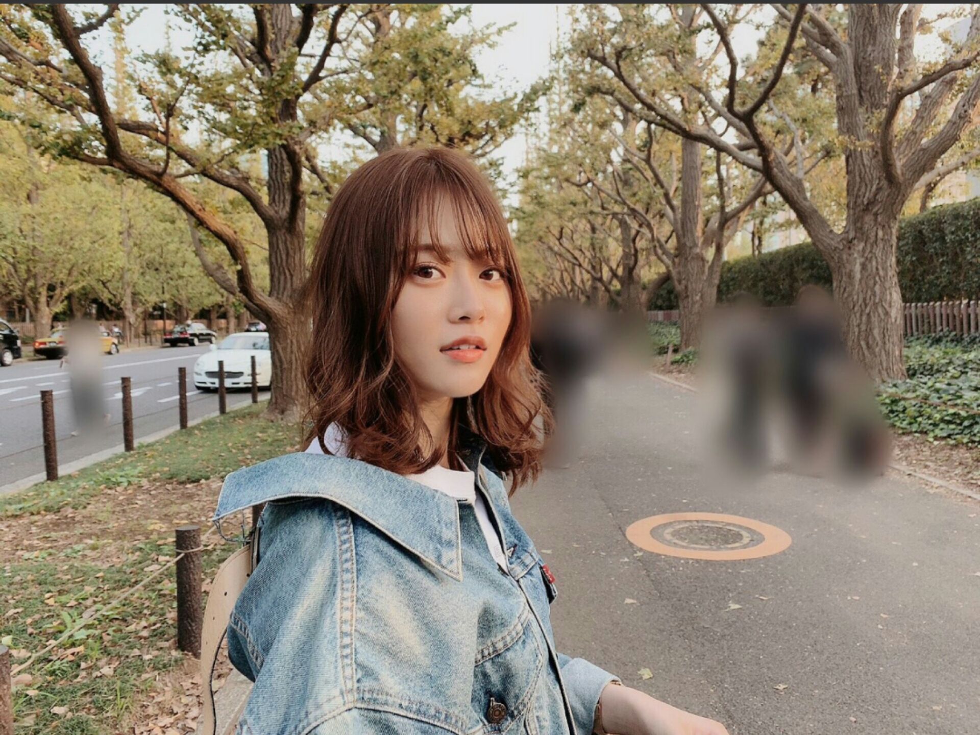 ๆ็จฟ็ปๅ