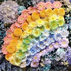 そふと☺︎