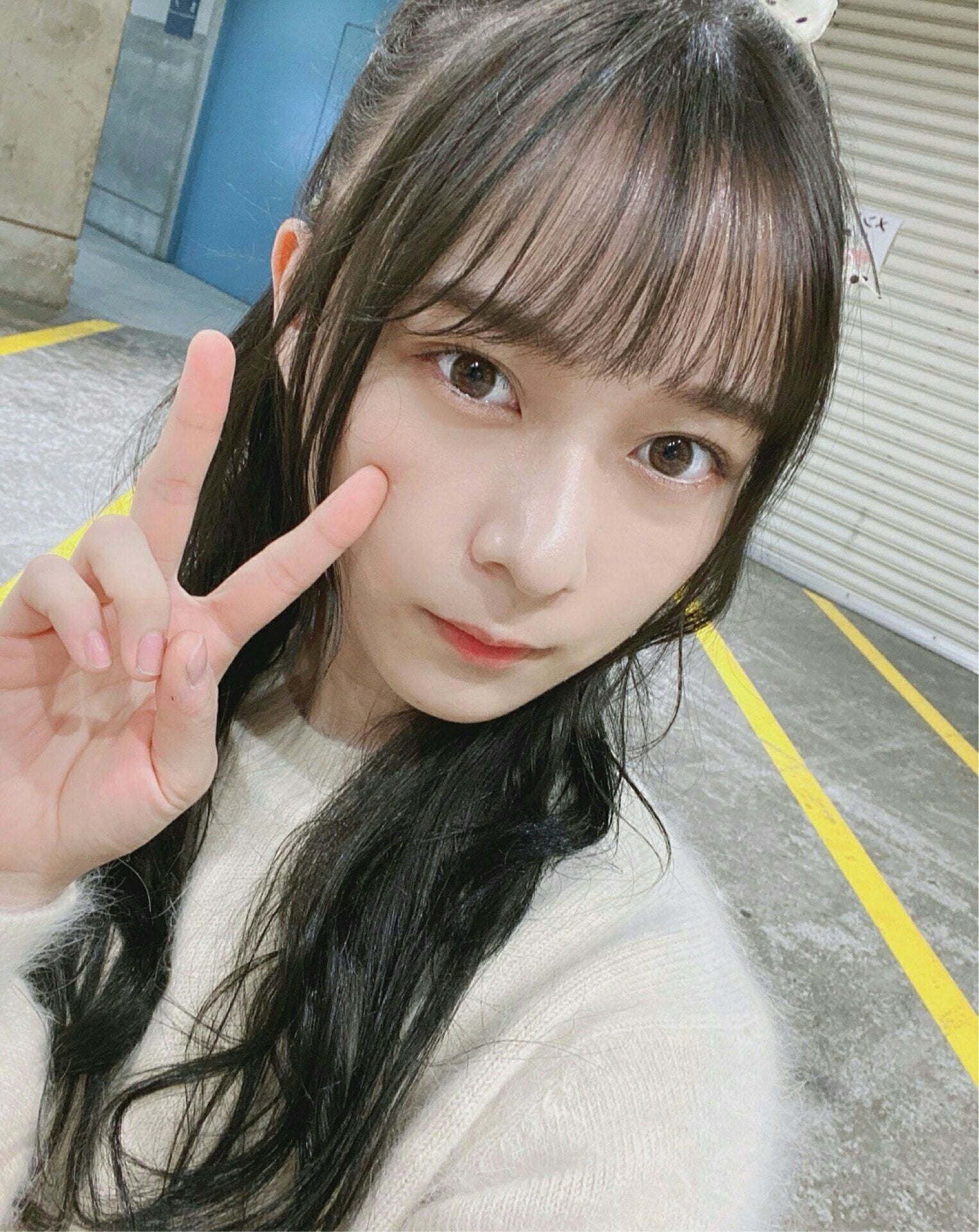 ๆ็จฟ็ปๅ