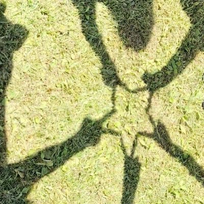 ✂️✂Keisuke✂✂️