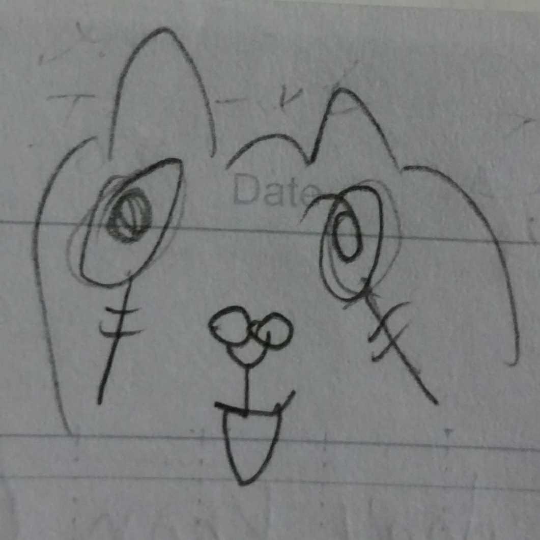 かみた