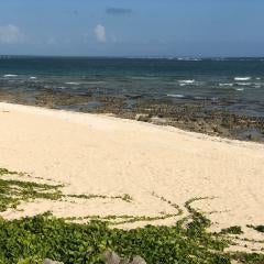 沖縄の人と仲良くなりたいでーす！他の県の人も来てくださいー！