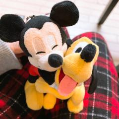 ❤️🐈🐕🐭🧸❤️