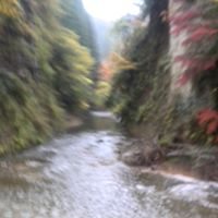 柳沢充