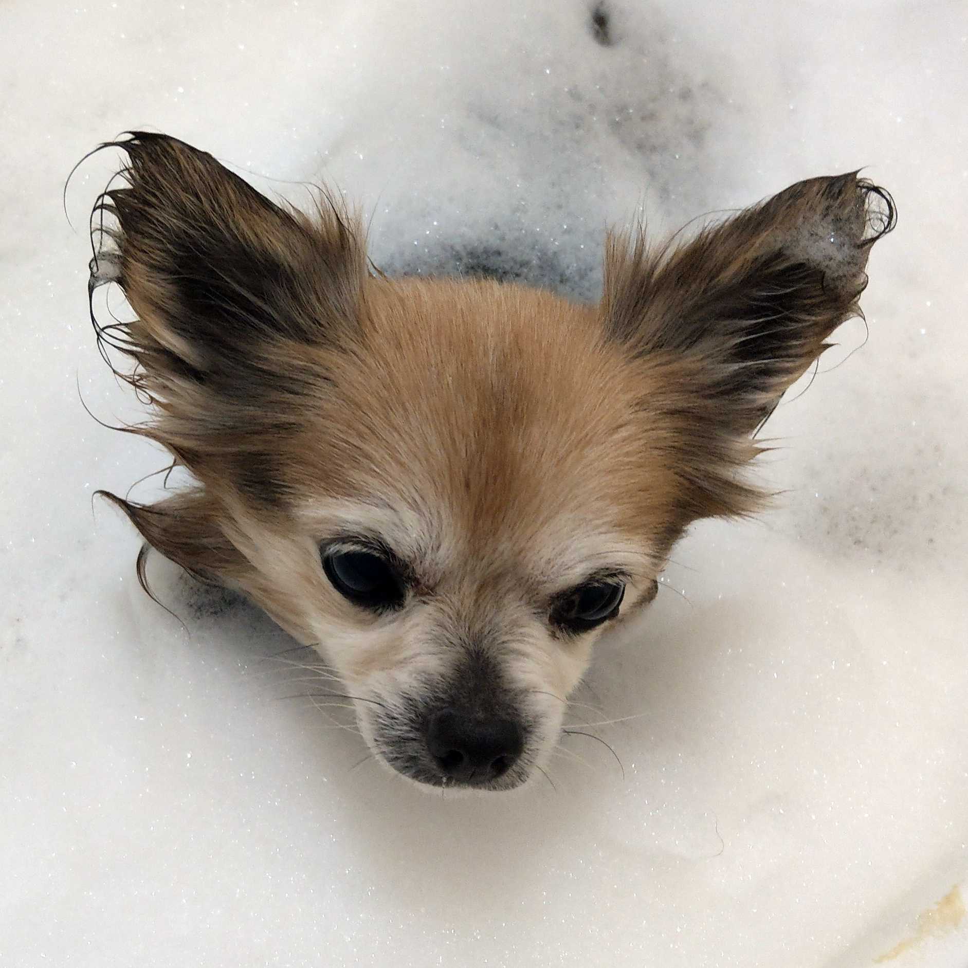 ともっちの独り言