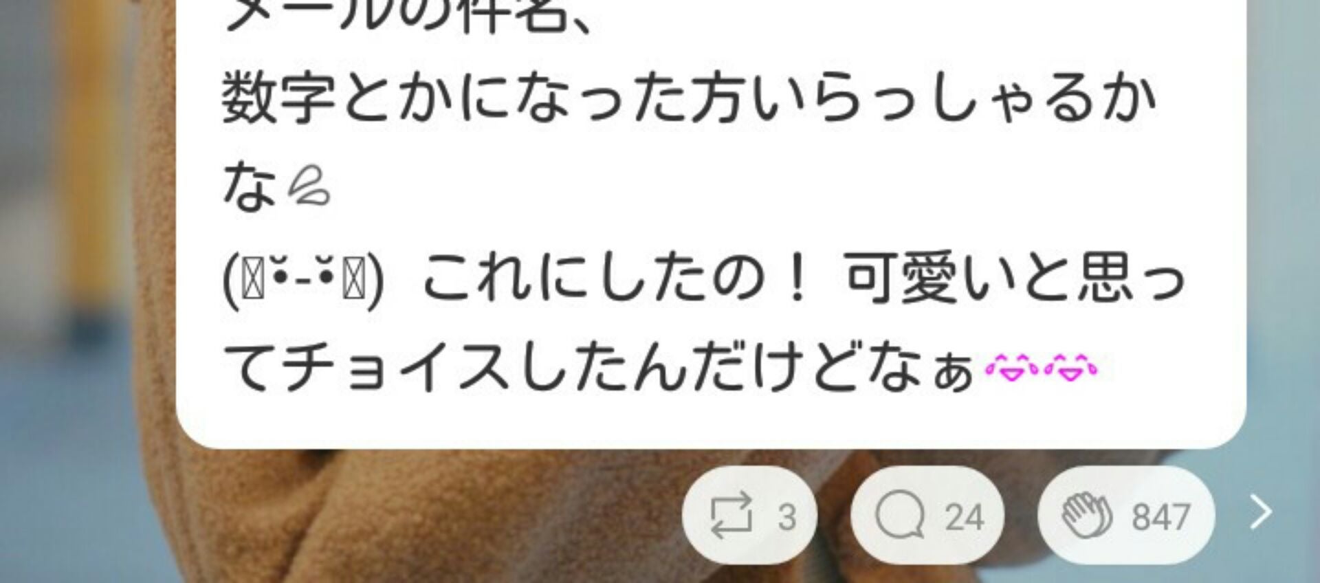 投稿画像