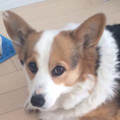 yuki.o