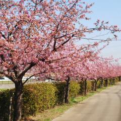 一般画像取扱所